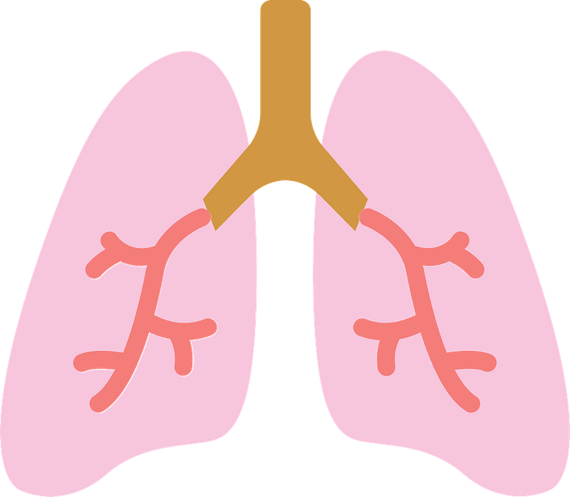 We deployed state-of-the-art PPG-based respiratory rate estimation algorithms.